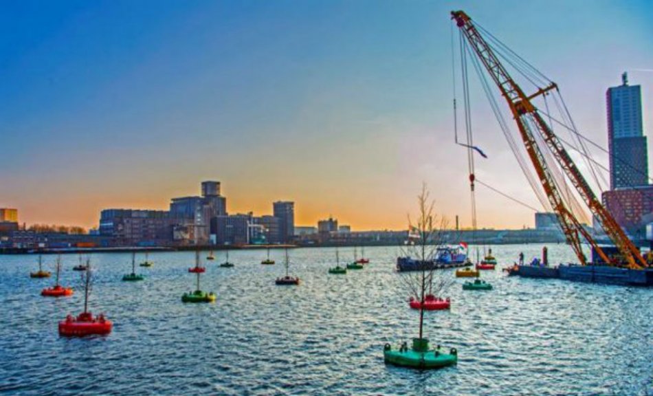 Los árboles en el puerto de Róterdam hacen parte de una iniciativa artística y ambiental. / EFE