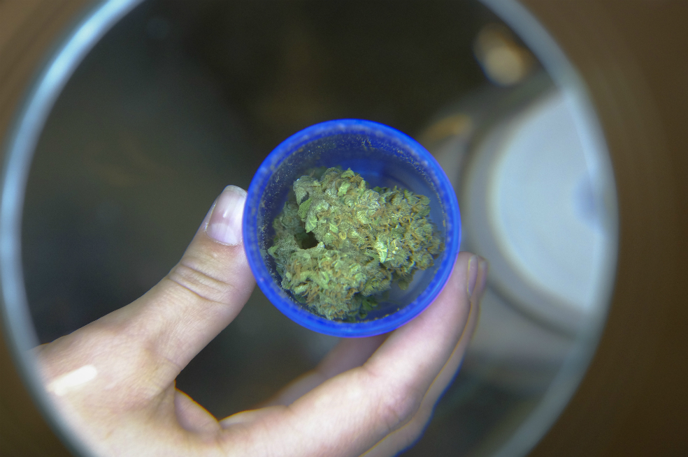 Cerveza de marihuana, la nueva apuesta del mercado