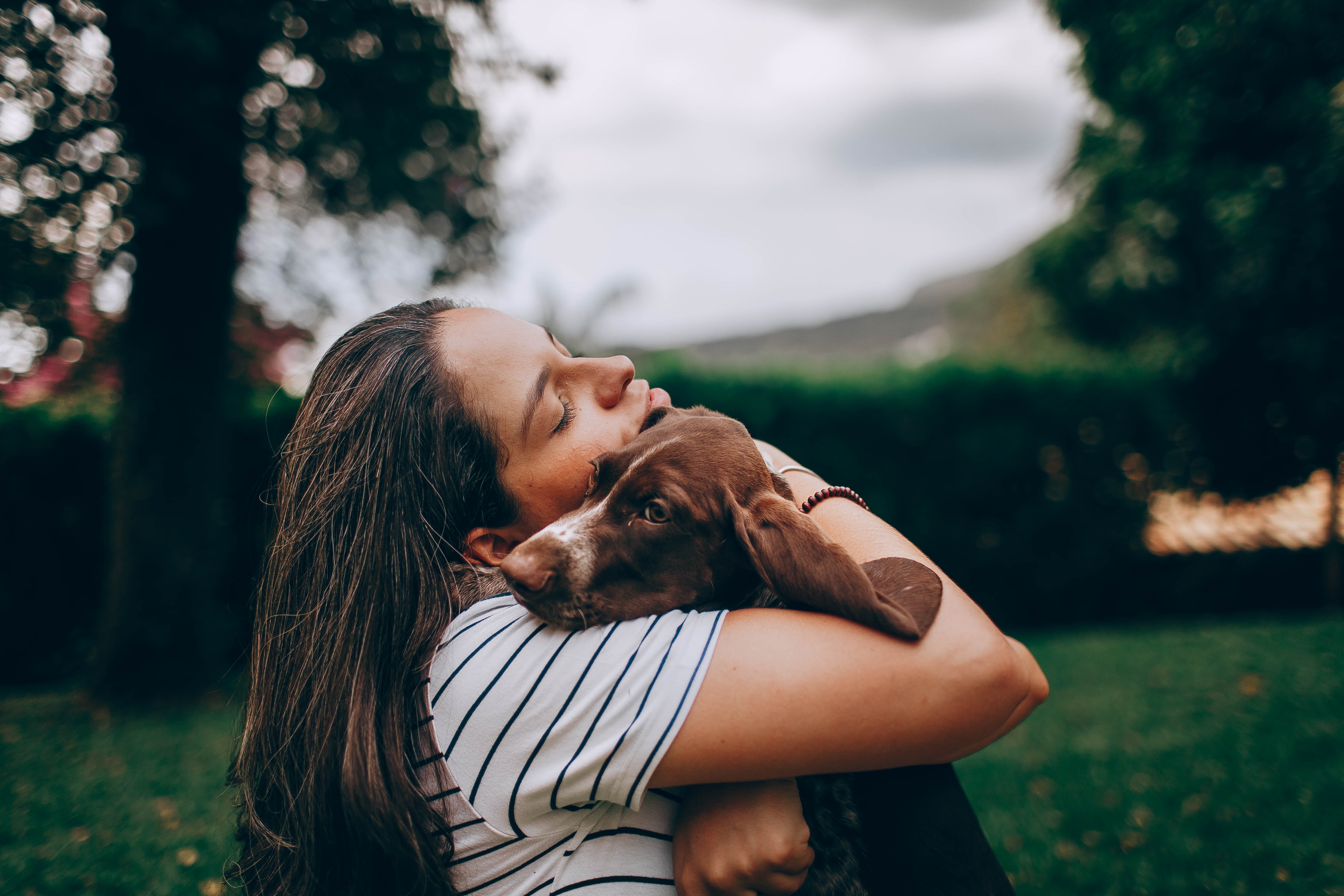 ¿Cómo saber si mi perro tiene hiperapego? Señales de alerta