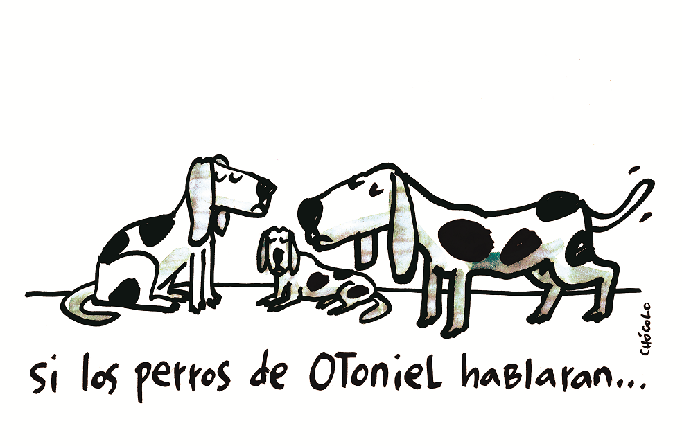 Chócolo