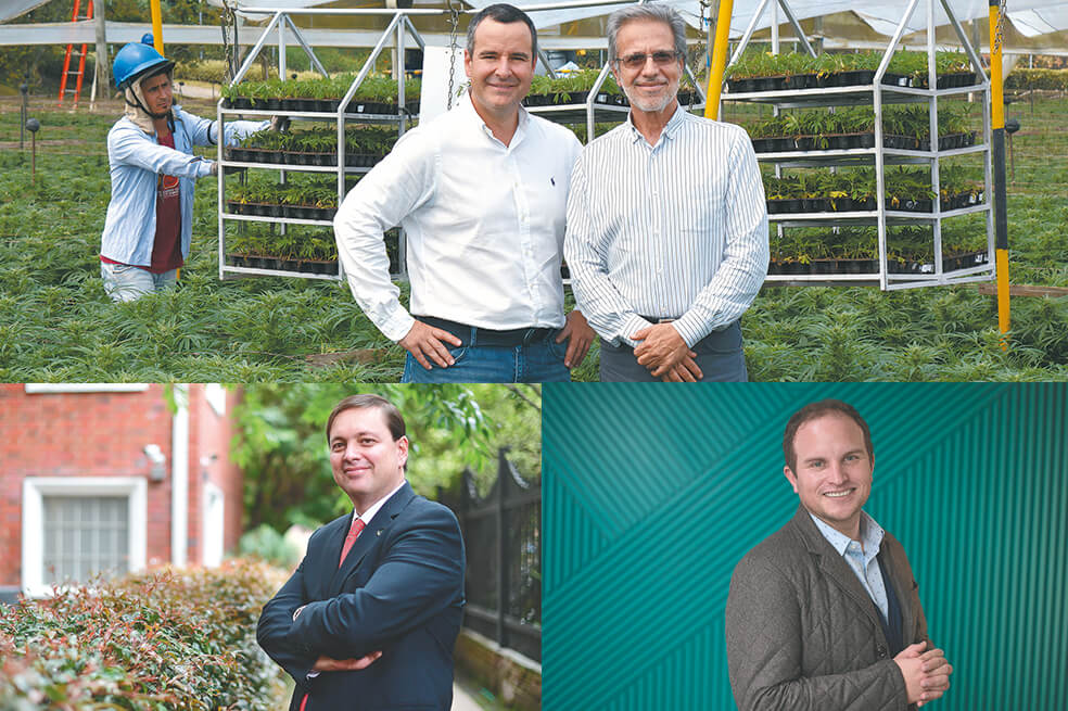 Andrés Botero, director de operaciones de Pharmacielo (arriba-izquierda), y Federico Cock Correa, cofundador de la empresa (arriba-derecha); Andrés Fajardo, presidente de Clever Leaves (abajo-izquierda); Álvaro Torres, CEO y director de Khiron (abajo-derecha).