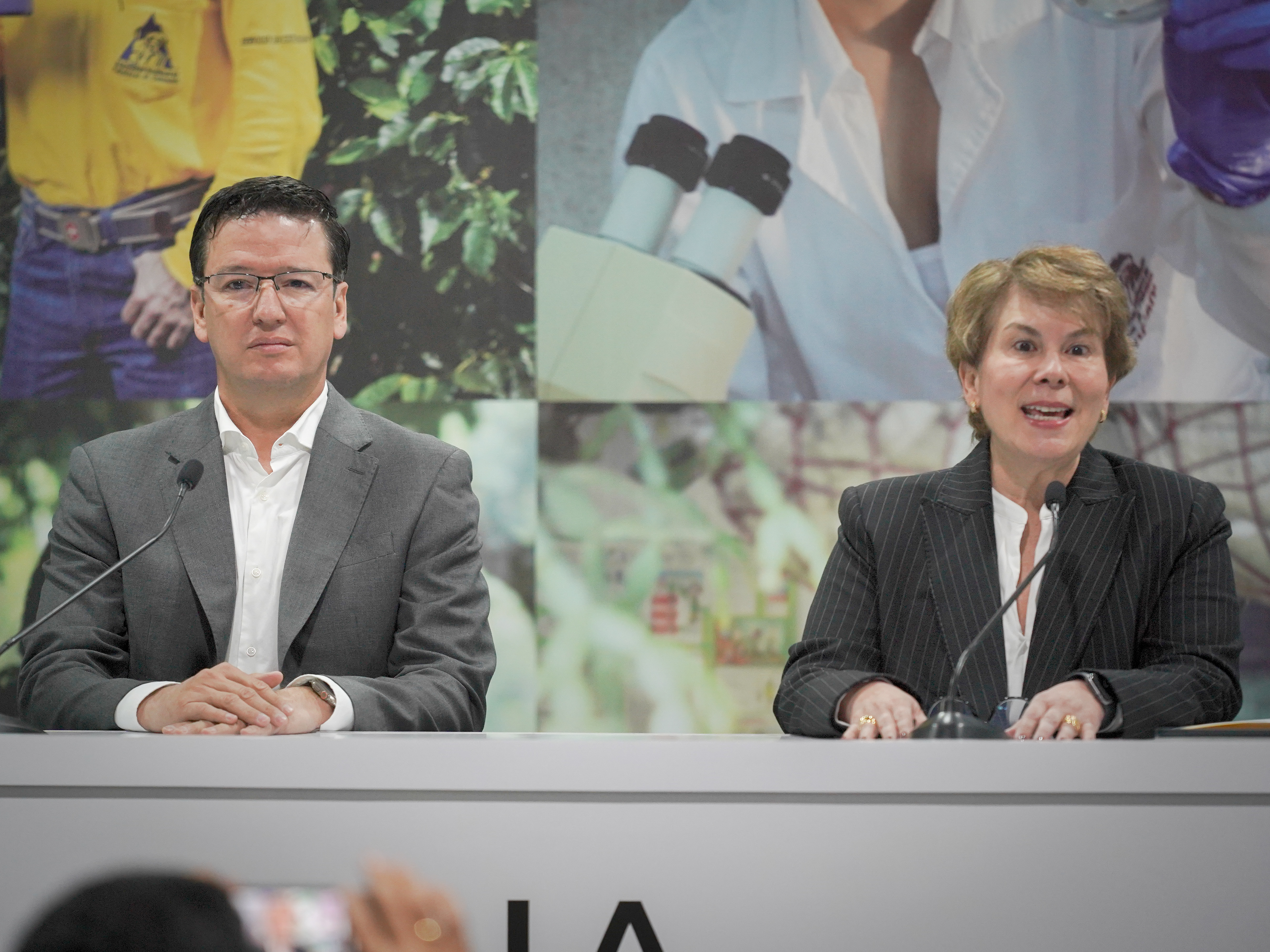 Boom cafetero se enfría: Fedecafé, Gobierno y OIC buscan cómo sostener la cosecha