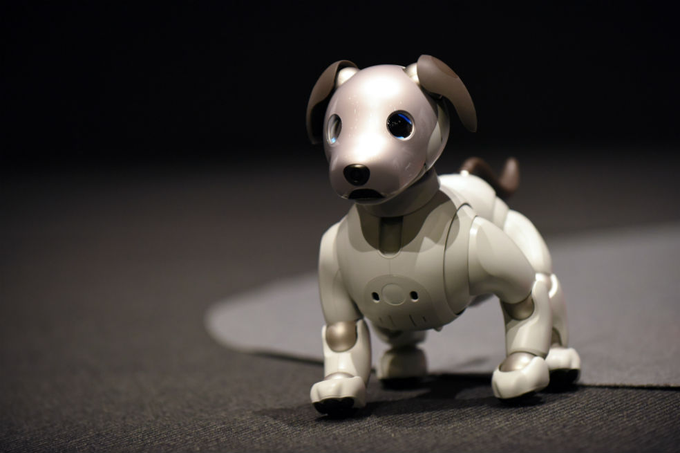 Sony presentó la nueva versión de su perro robot