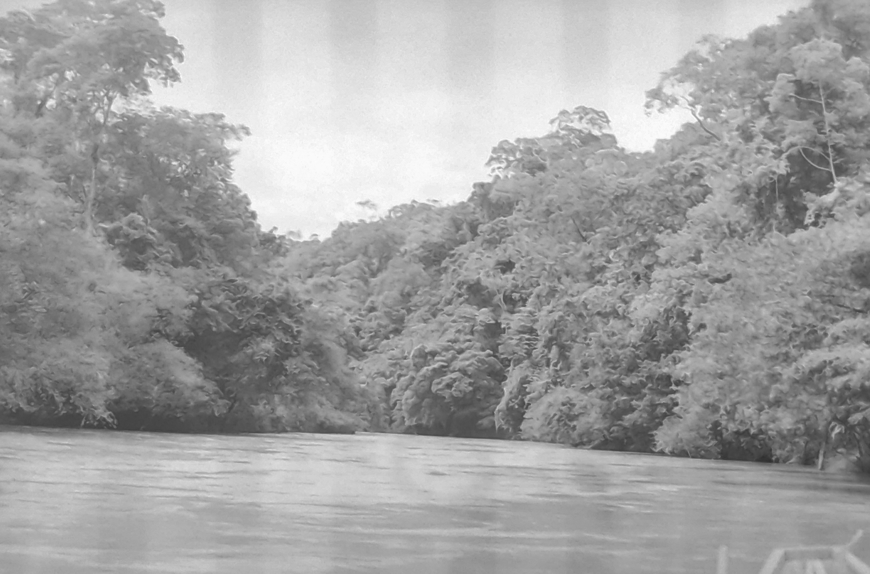 El Sinú es parte fundamental de la cultura y la alimentación de las comunidades embera-katío. Así lucía una parte de su territorio en 1998.