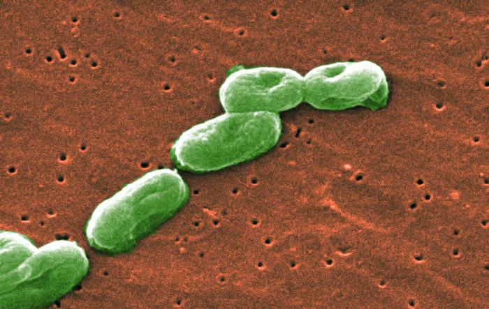 Invima pide no administrar este medicamento por brote de infecciones por Burkholderia