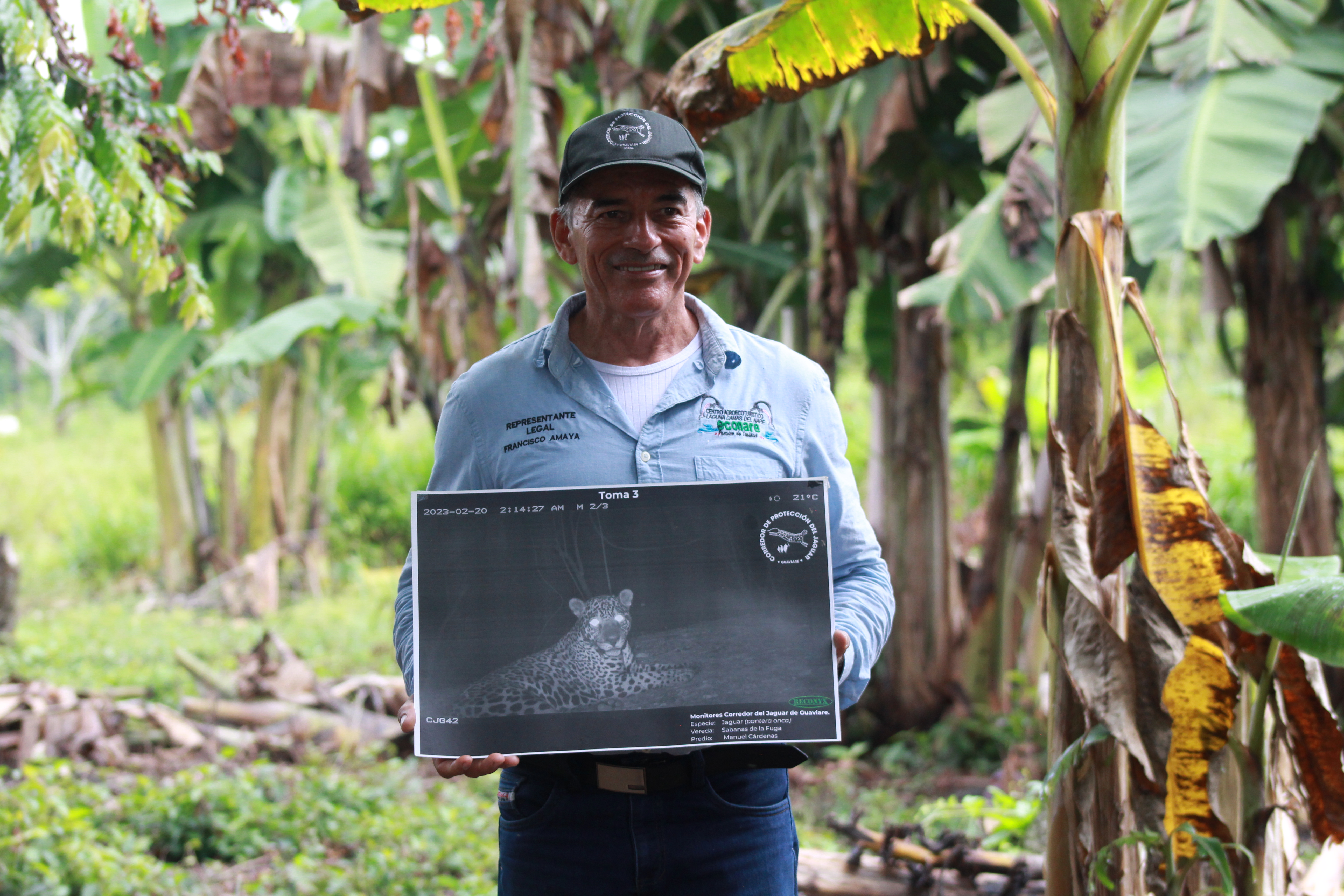 Las comunidades de Guaviare que comparten su casa con el jaguar