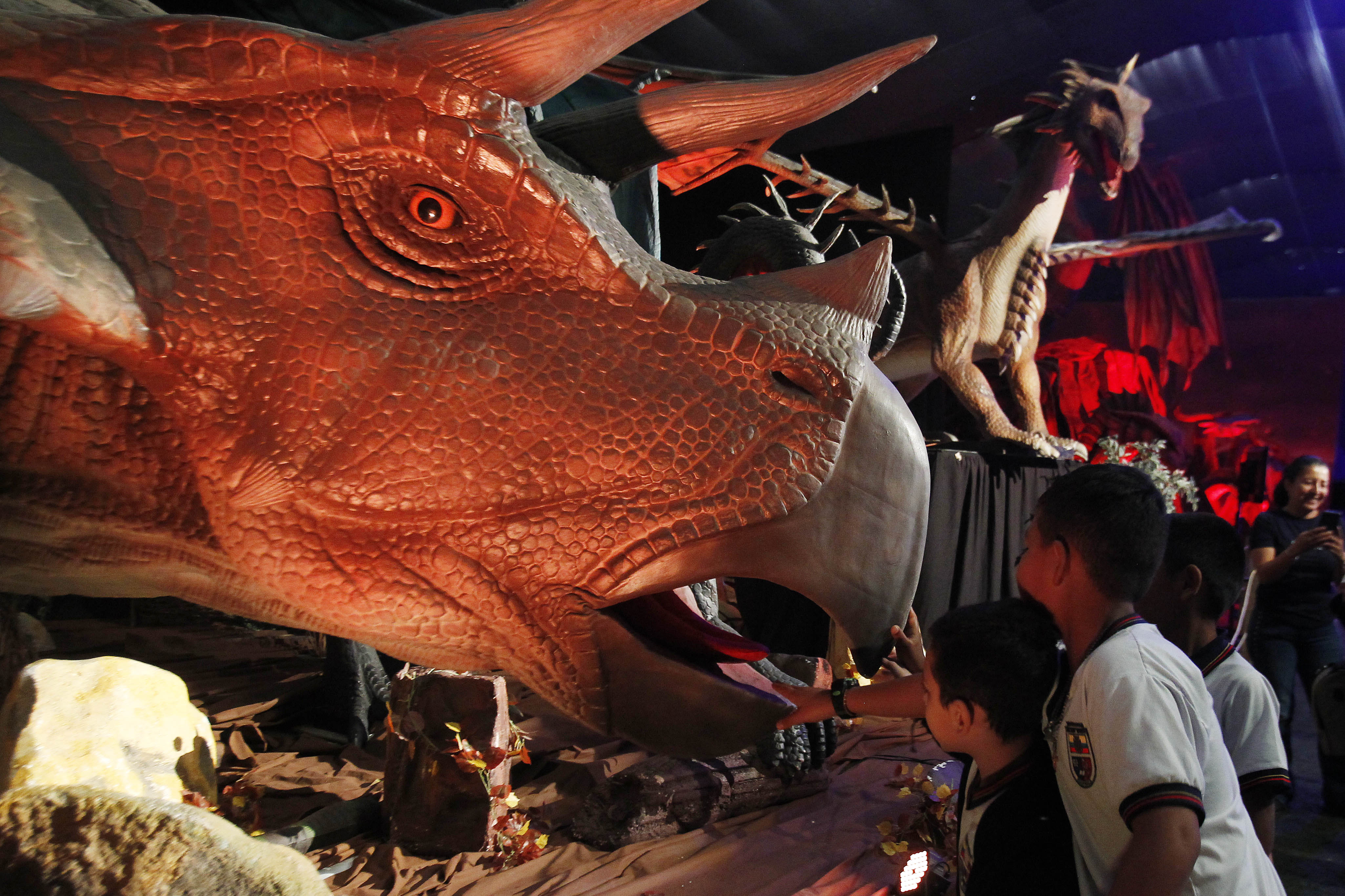 MED102. MEDELLÍN (COLOMBIA), 11/02/2023.- Niños asisten a la exhibición "Dinosaurios y Dragones fantásticos", el 10 de febrero de 2023, en Medellín (Colombia). "Dinosaurios y Dragones Fantásticos", considerado el tour animatrónico más grande de Latinoamérica, inició este sábado en Medellín un viaje prehistórico y mitológico con más de 30 figuras que simulan el aspecto y comportamiento estas criaturas. EFE/ Luis Eduardo Noriega A.