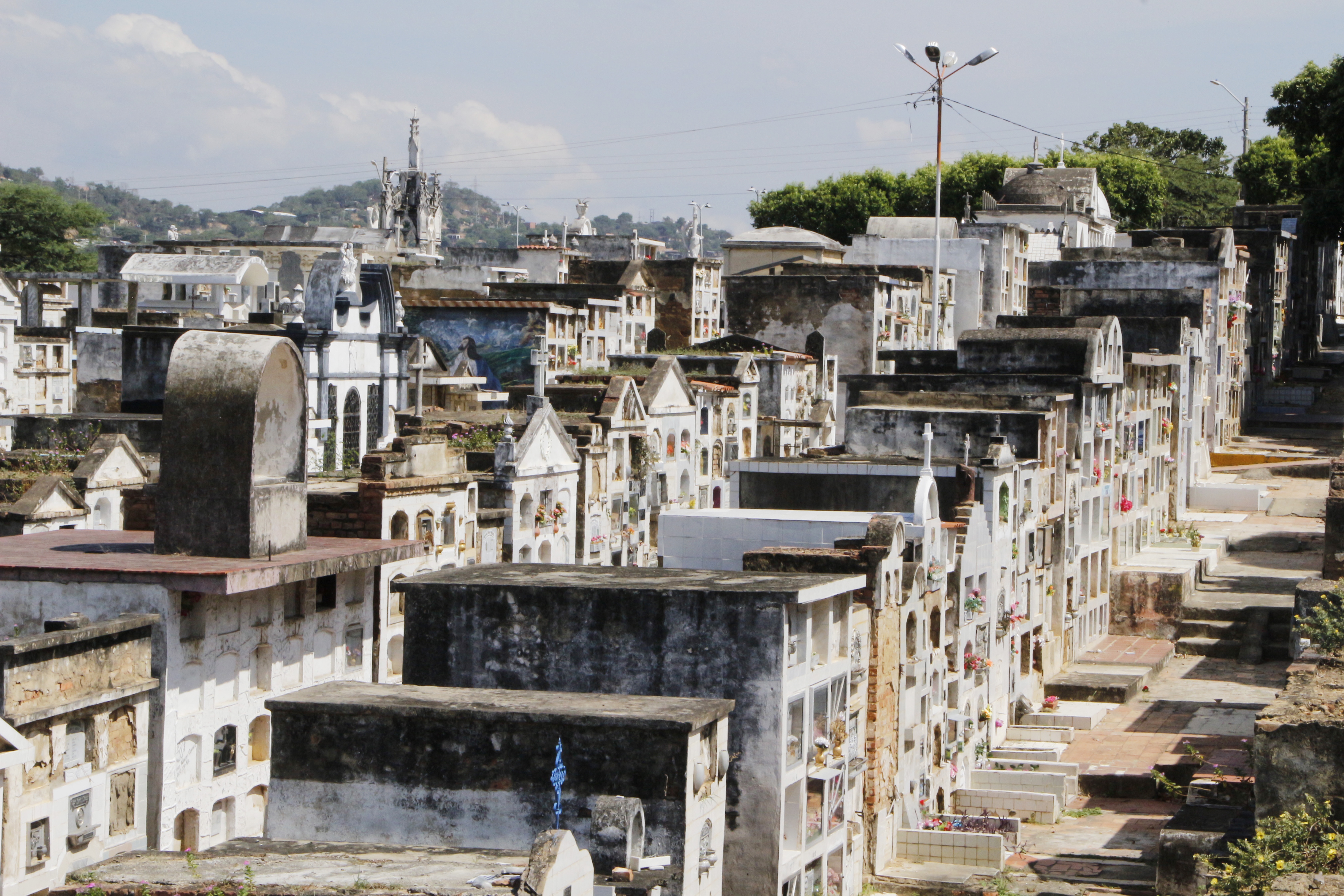 Hallaron un feto en el cementerio central de Cúcuta