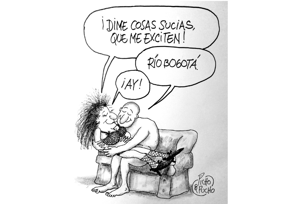 Picho y Pucho