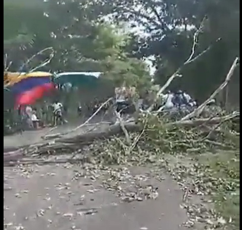VIDEO: “Necesitamos soluciones”: habitantes de Zapata (Antioquia)