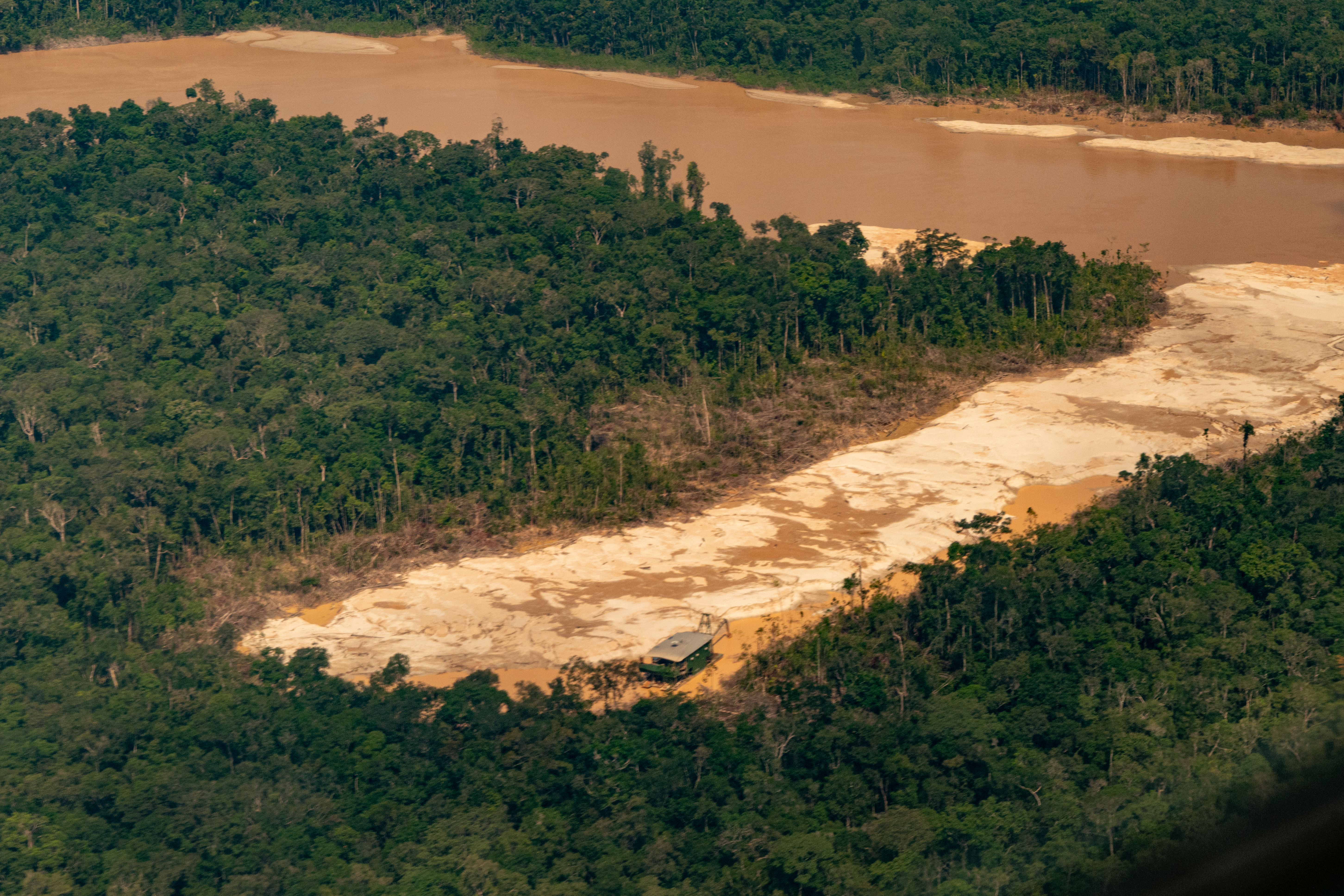 Las 7 propuestas que hicieron en la COP16 para frenar el oro ilegal en la Amazonia