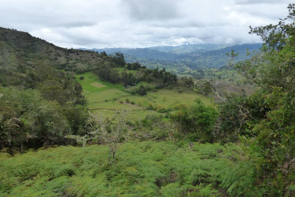 La Cuchilla Mesa Alta, la nueva área protegida de Boyacá