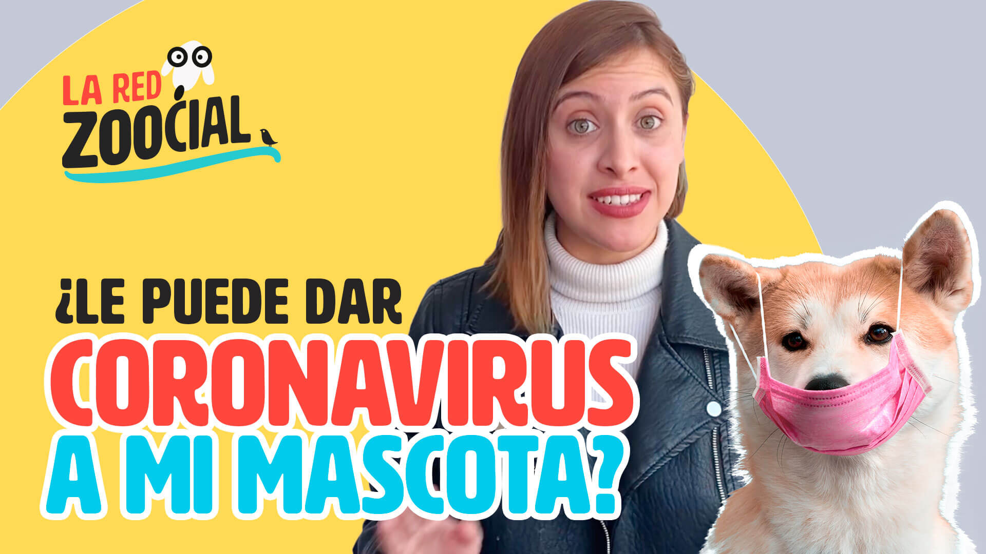 ¿Le puede dar coronavirus a mi mascota?