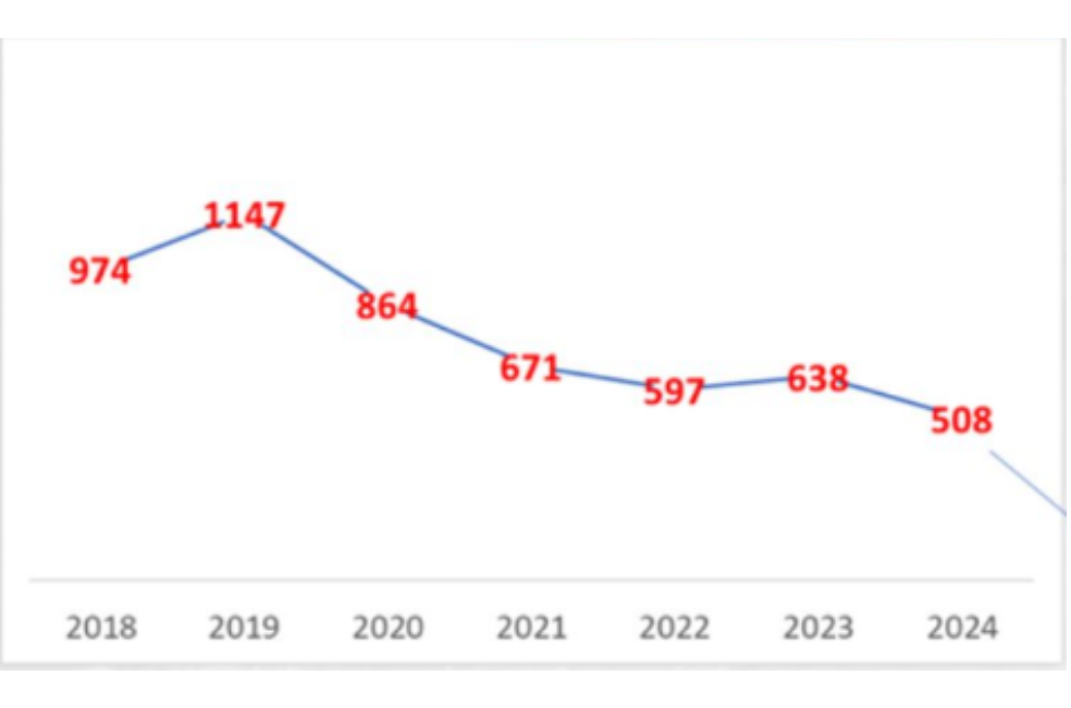 Datos de adopciones en el IDPYBA (2018 A 2024)