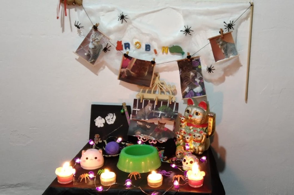 ¿Qué poner en la ofrenda para mi mascota en el Día de Muertos?