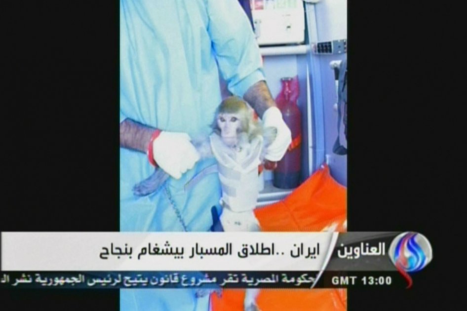 Con éxito Irán logró envío de un simio al espacio