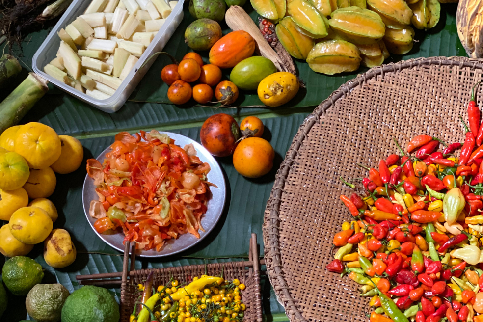 La conservación de la Amazonía tiene implicaciones directas sobre su flora y los cultivos para la soberanía alimentaria de las poblaciones.