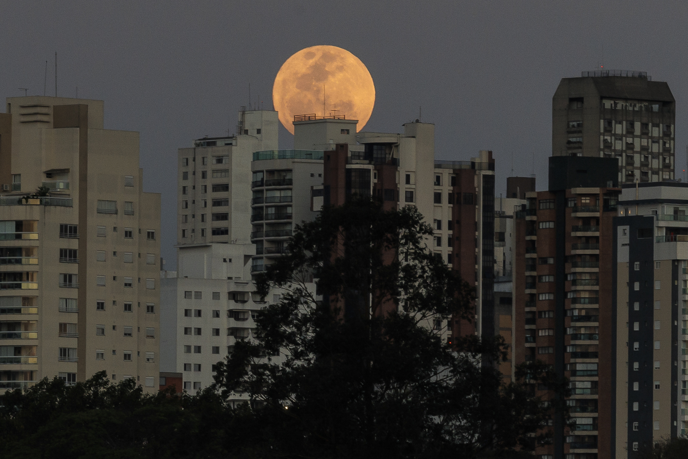 AME5446. SAO PAULO (BRASIL), 30/08/2023.- Fotografía de la superluna azul, hoy en la ciudad de São Paulo (Brasil). La próxima luna azul será en 2026, pero no será superluna, suceso para el que habrá que esperar hasta el año 2037. EFE/ Isaac Fontana