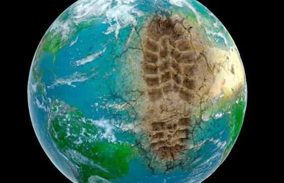 Consejos para pensar y actuar por el medio ambiente