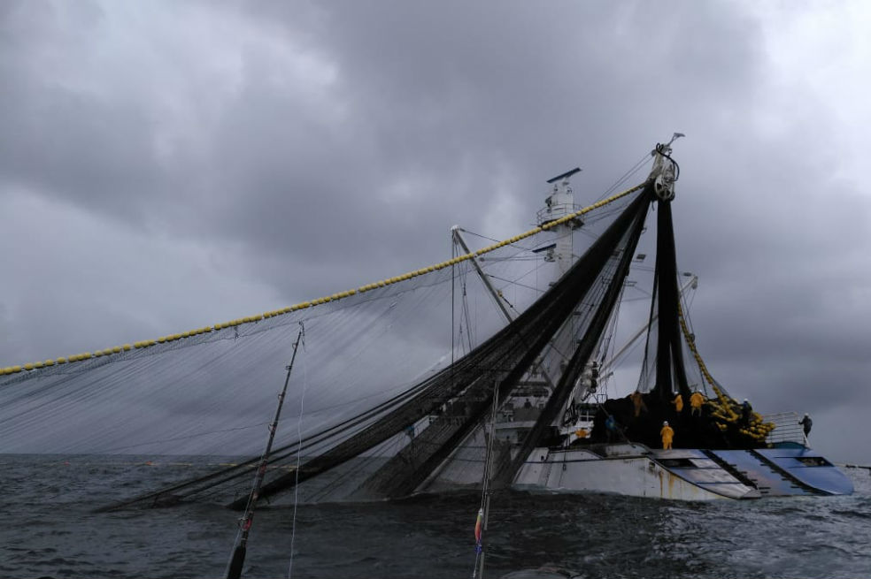 Denuncian presunta pesca ilegal de atún en Bahía Solano