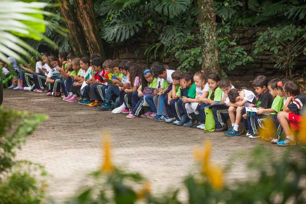 Ecos de un baile de libros
