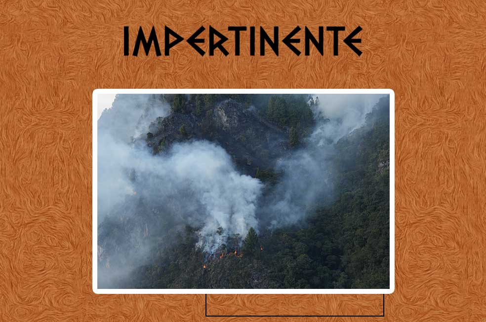 Entre fuego y ceniza, así es el esfuerzo de los socorristas por apagar las llamas