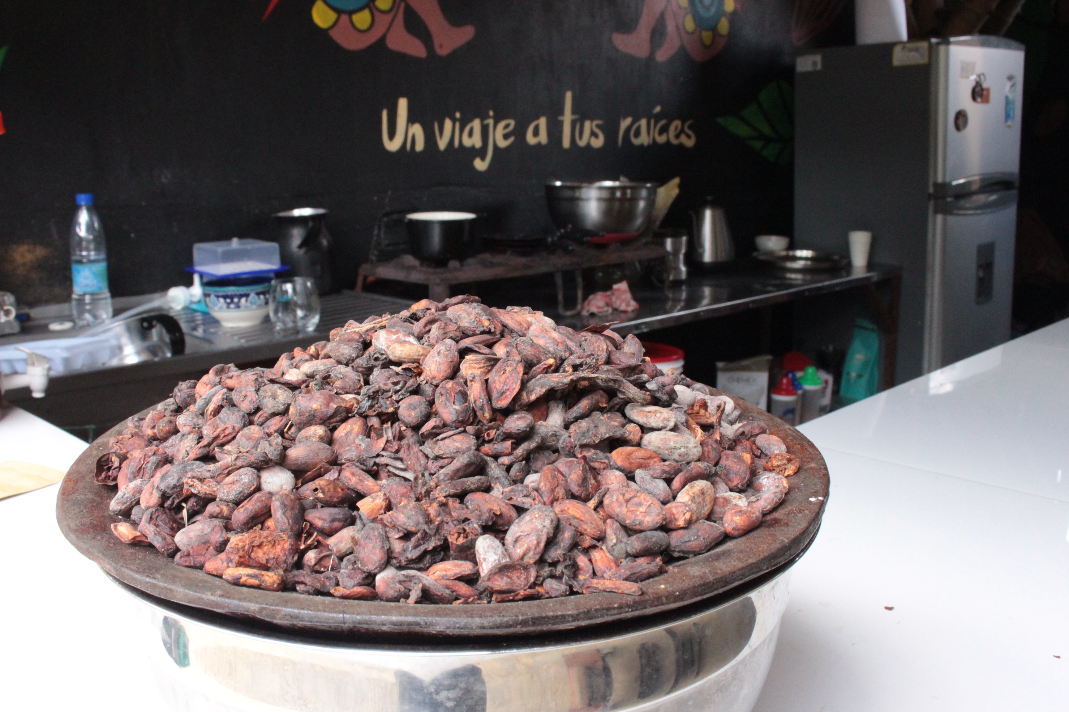 Fedecacao ha registrado 14 tipos de cacao diferentes que crecen en Colombia.