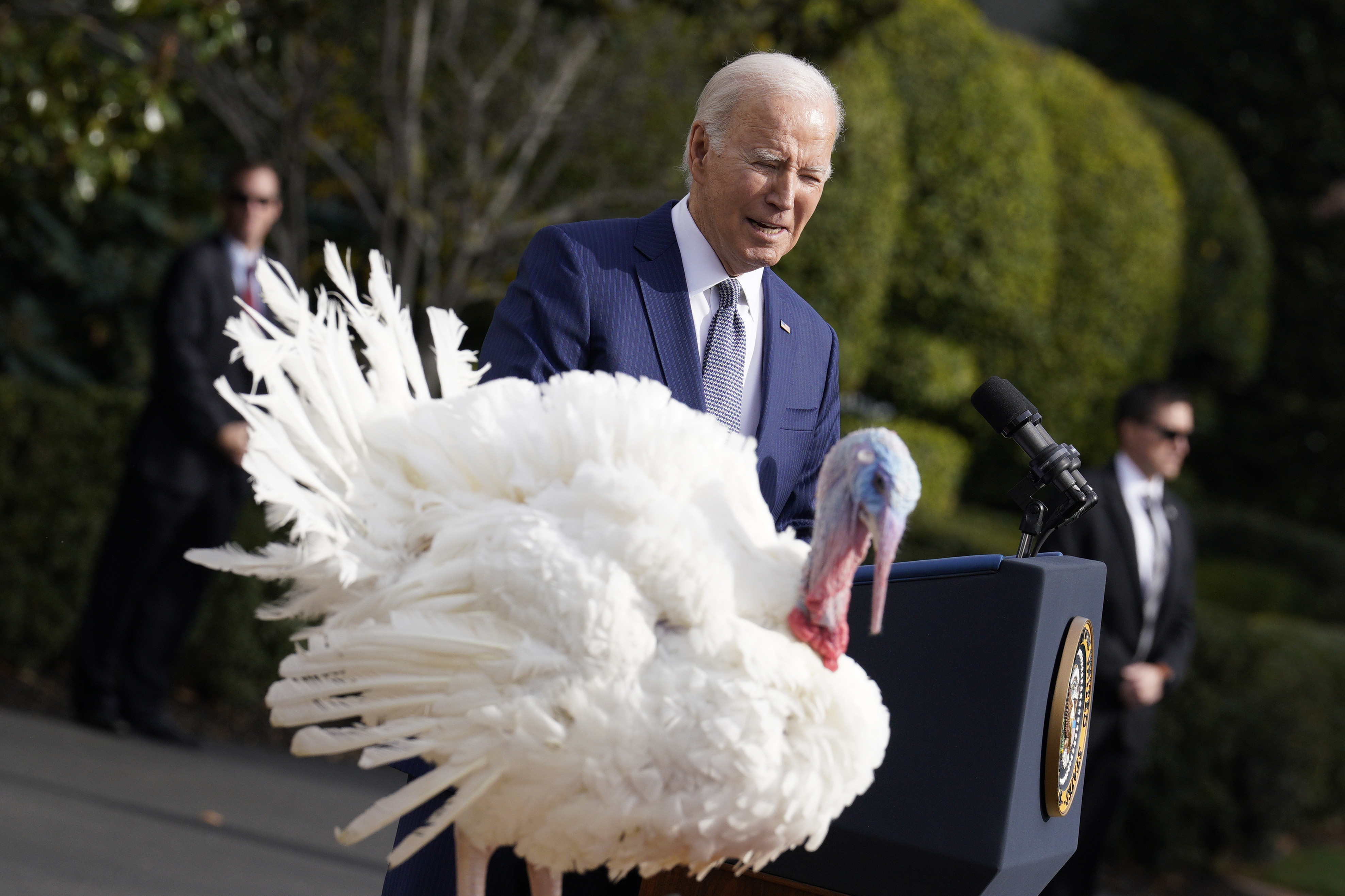 Joe Biden les perdonó la vida a estos pavos y hasta les puso música de Taylor Swift