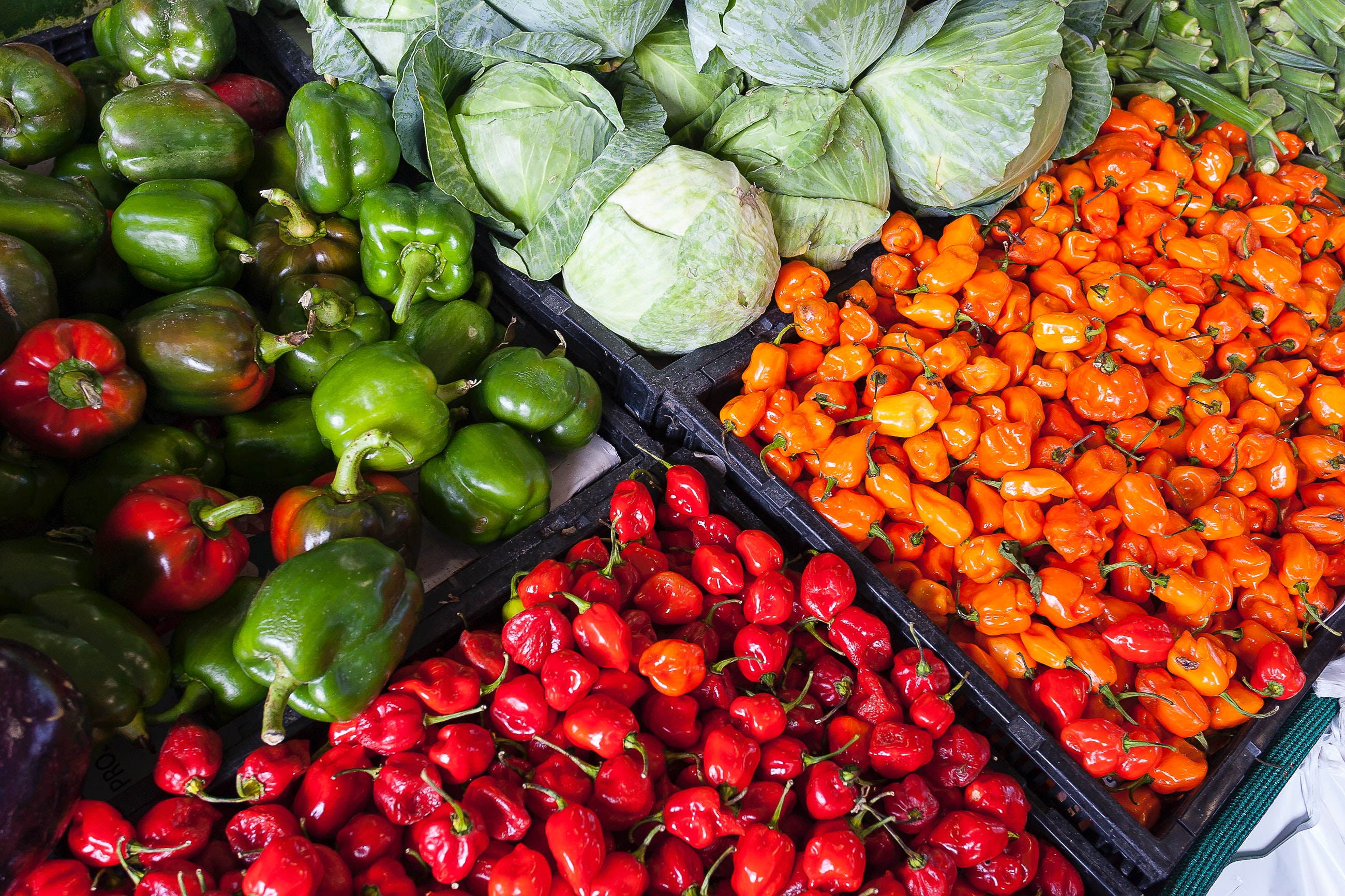 ¿Cómo conservar más tiempo las verduras?