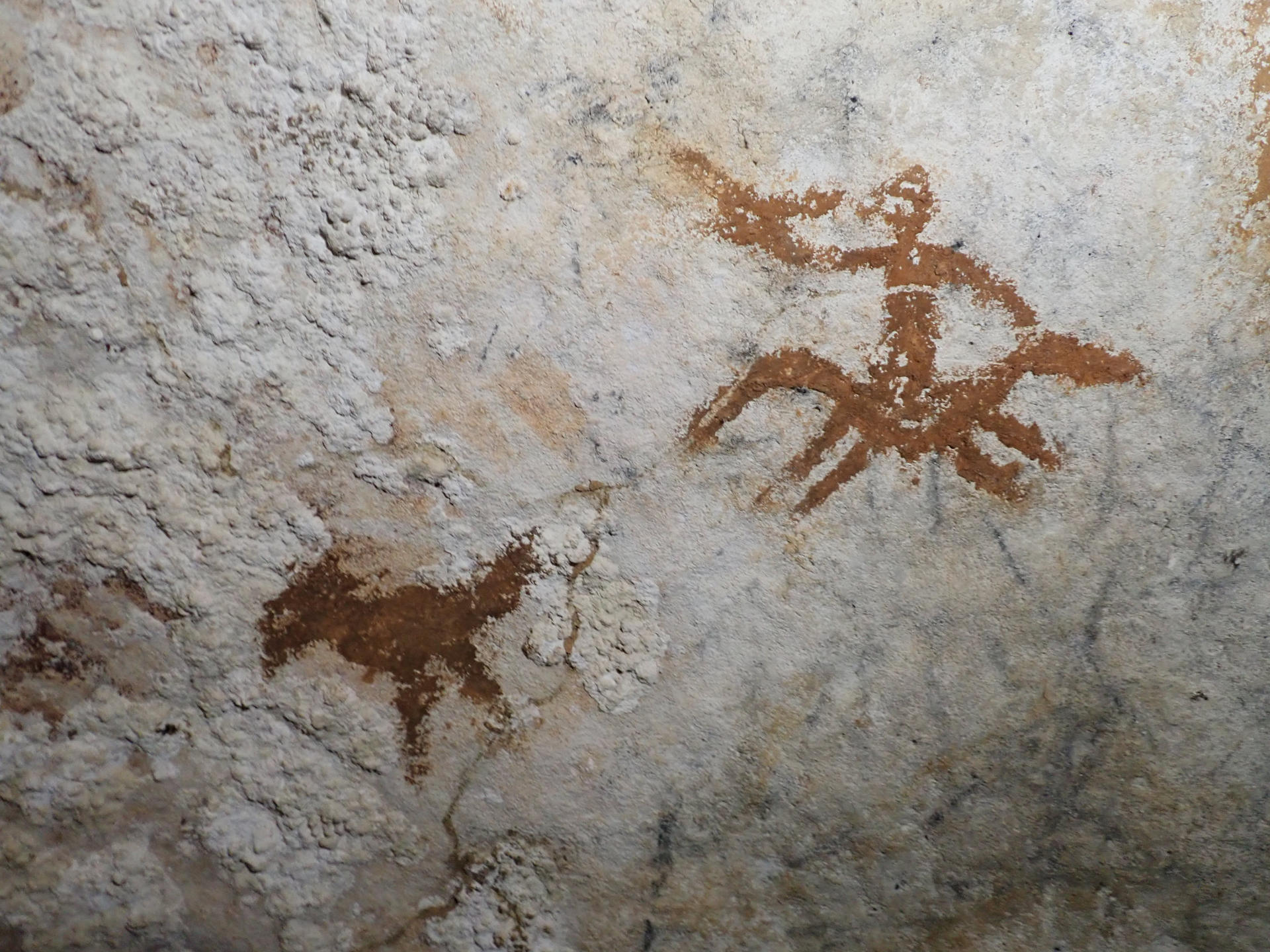 Hallaron en Indonesia la pintura rupestre más antigua: data de hace más de 67.000 años