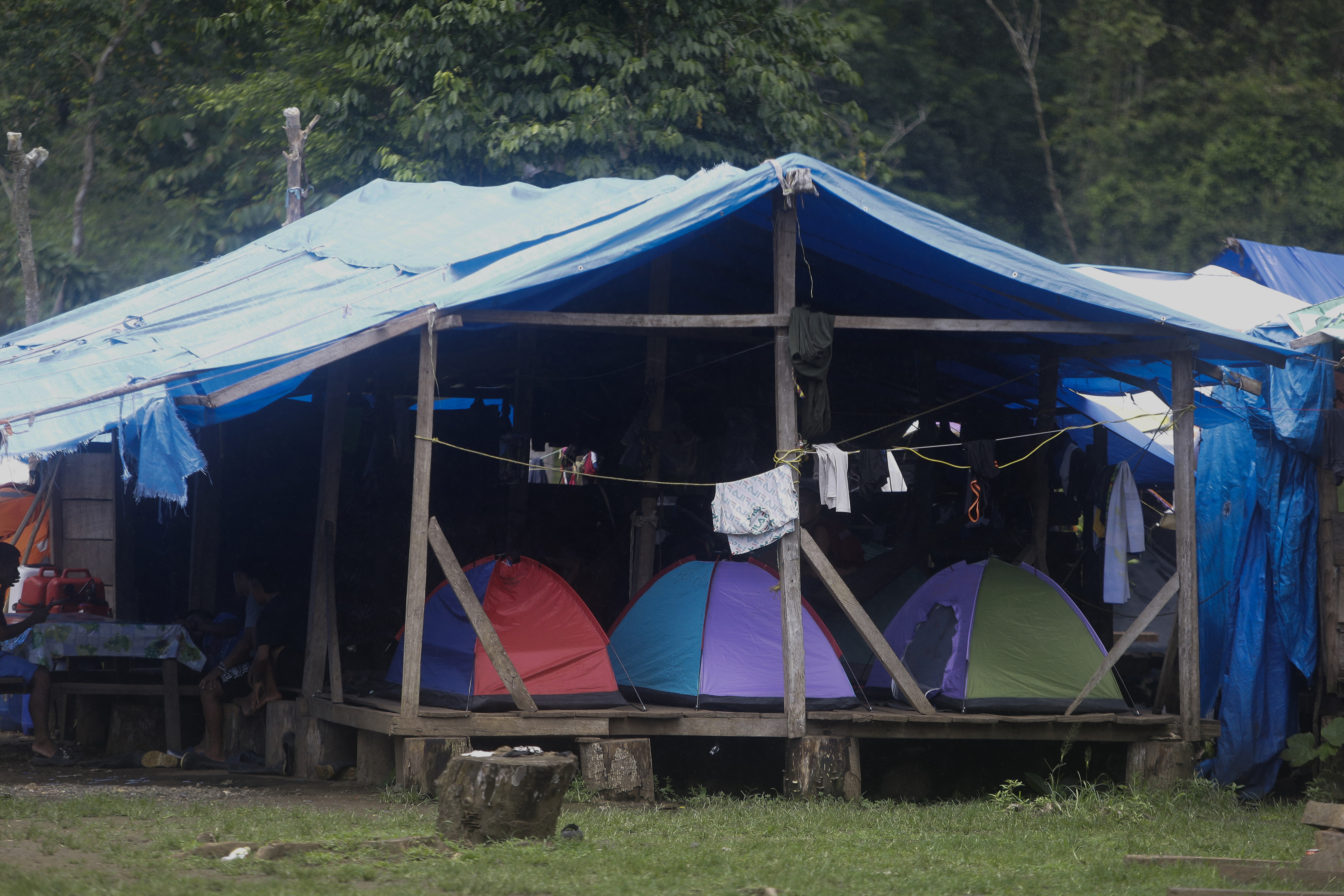AME4730. DARIÉN (PANAMÁ), 31/08/2024.- Fotografía que muestra un campamento en medio de un operativo este sábado en plena selva del Darién, frontera natural entre Colombia y Panamá. Unidades del Servicio Nacional de Fronteras panameño dieron este sábado con un campamento en plena selva de Darién, frontera natural entre Colombia y Panamá, en el que se vendían "ilegalmente" víveres y servicios a migrantes irregulares que cruzan esa peligrosa jungla en su viaje hacia Norteamérica. EFE/Carlos Lemos