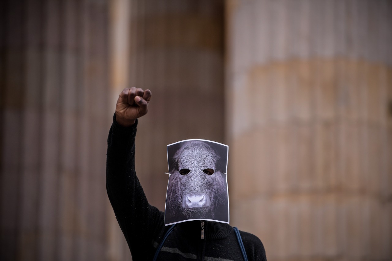 Protestas en defensa de los derechos animales