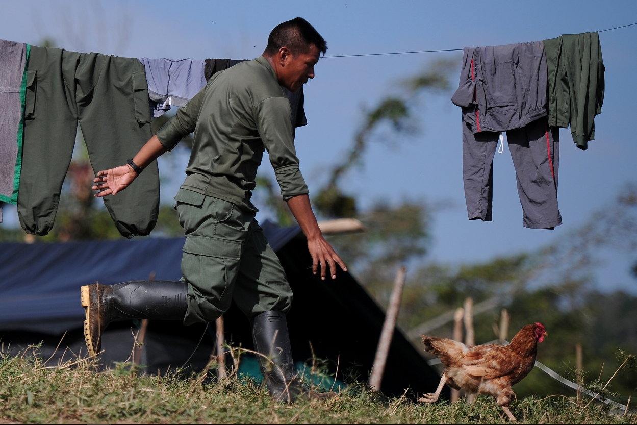 Los resultados del primer censo socioeconómico de las Farc