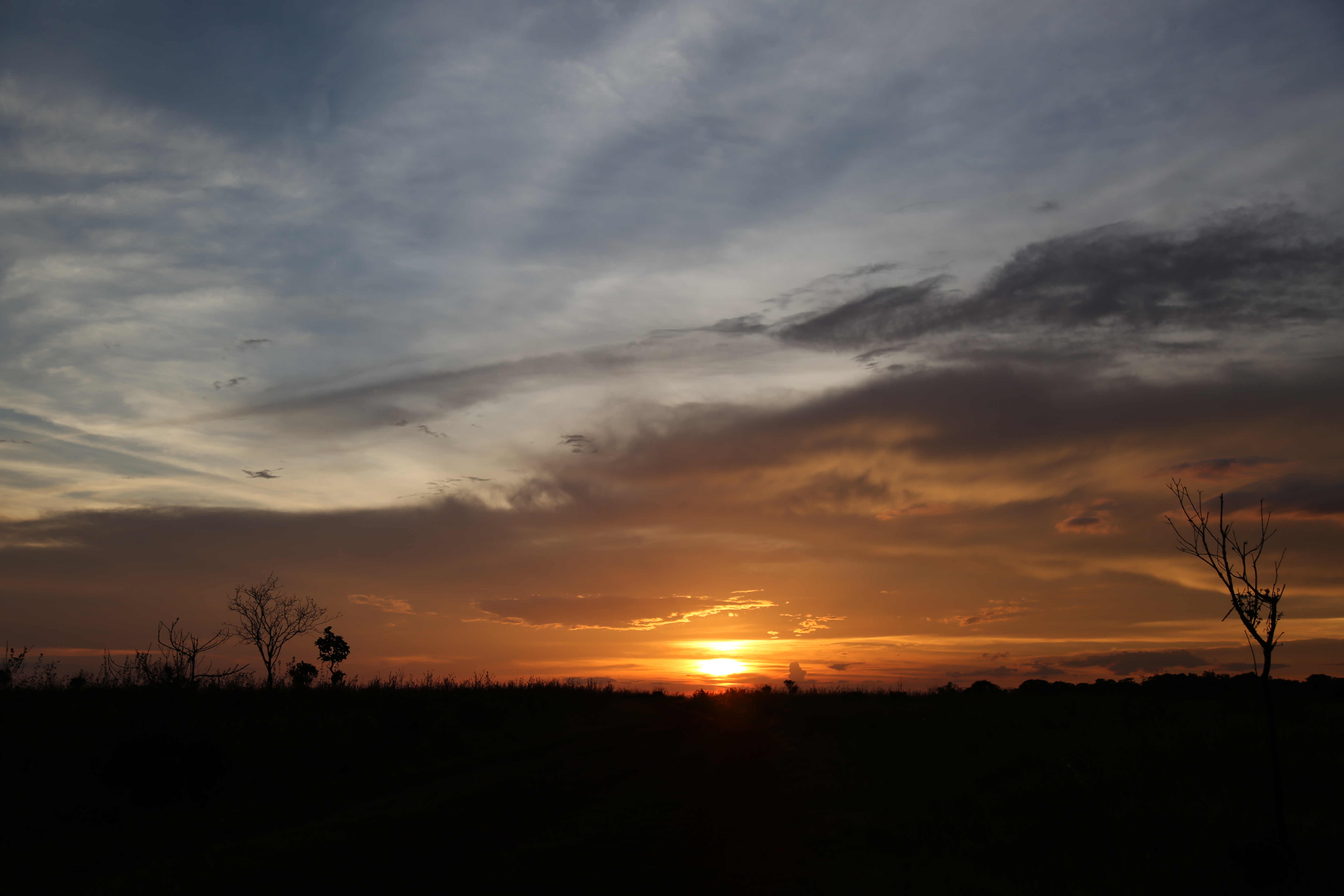 Un atardecer en los Llanos del Yarí, donde Alexa pasó su vida guerrillera. / Alexa Rochi