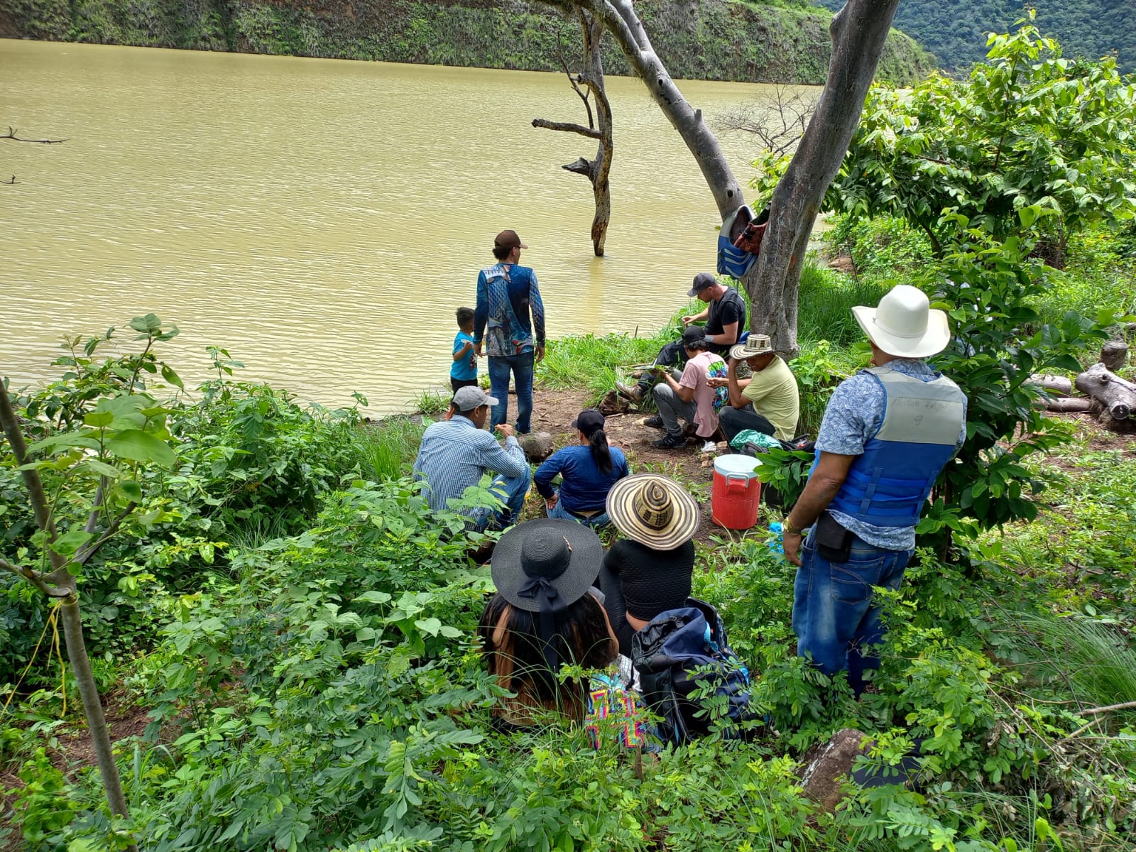 La sentencia que protege los derechos del río Cauca tras 5 años de incumplimientos