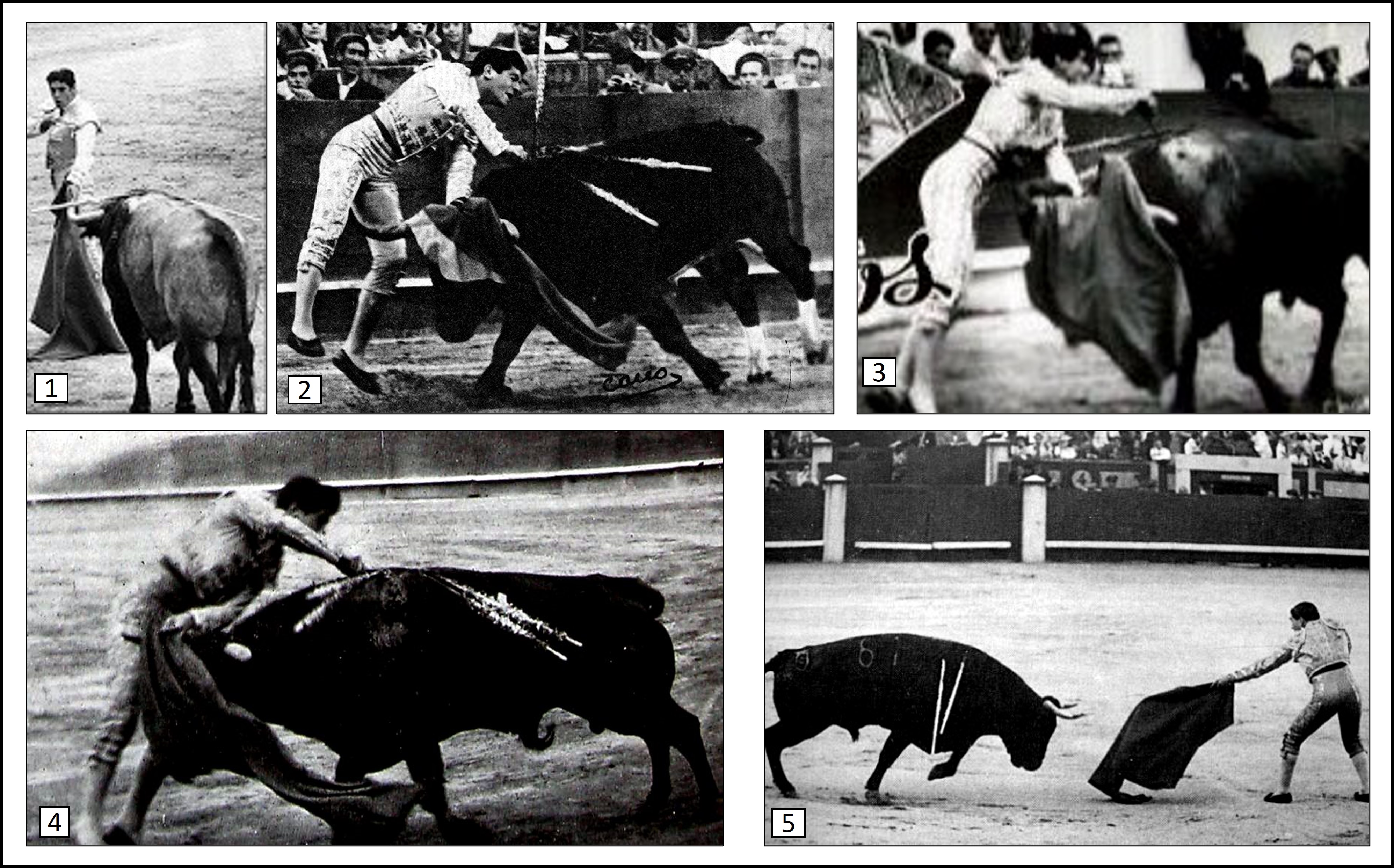 Torero Jaime Ostos