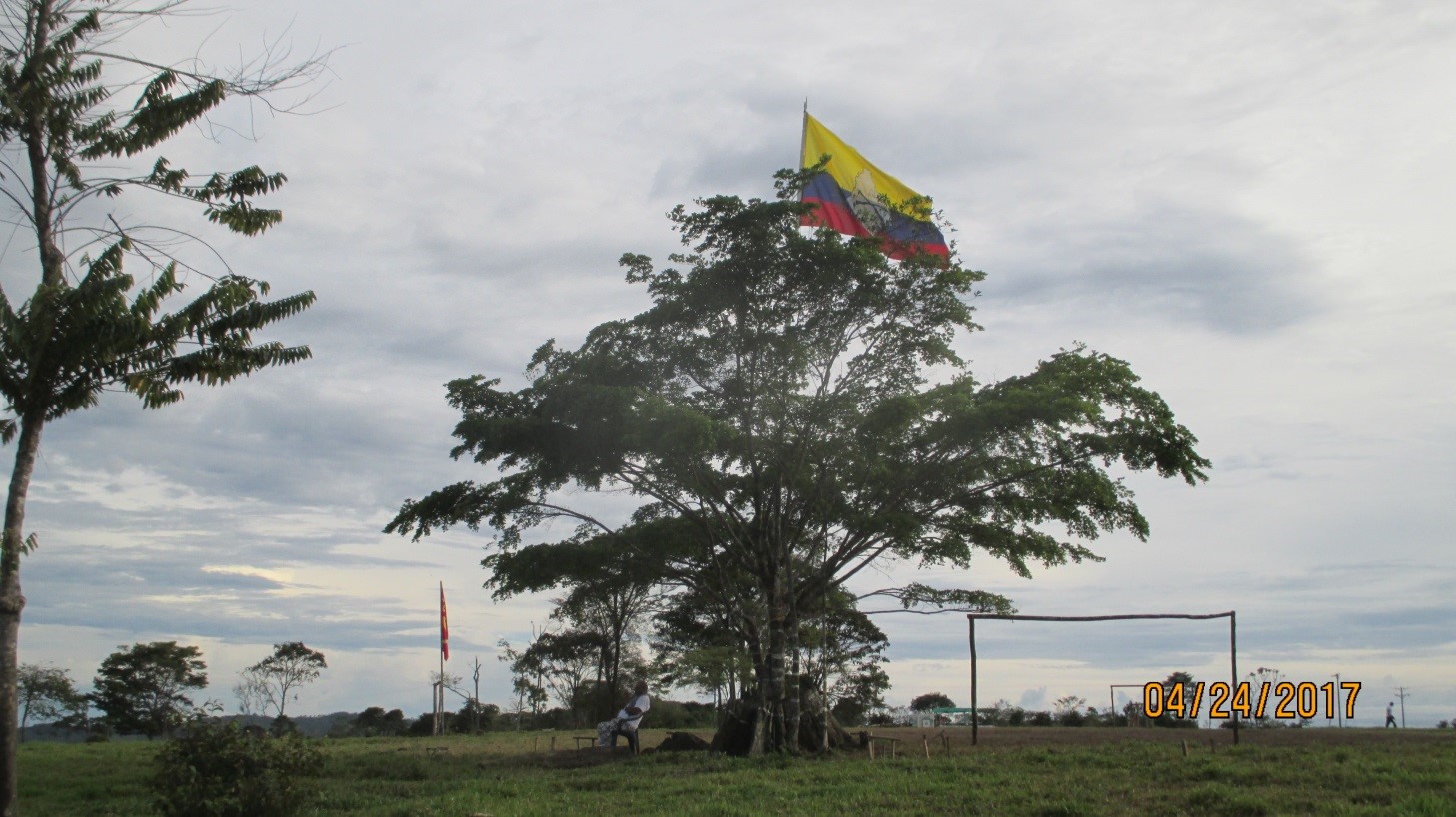 Lugar del árbol Sector A, Zona Veredal Mariana Páez