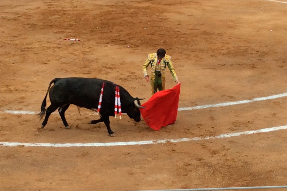 José Tomás en Juriquilla
