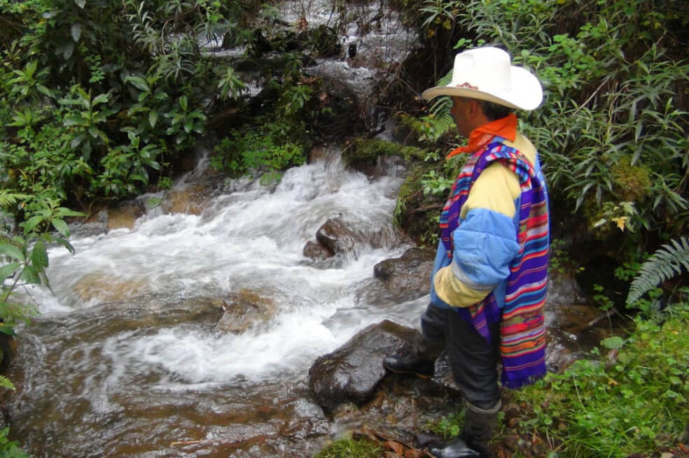 Pago por Servicios Ambientales y alternativas productivas sostenibles, la apuesta para conservar ecosistemas