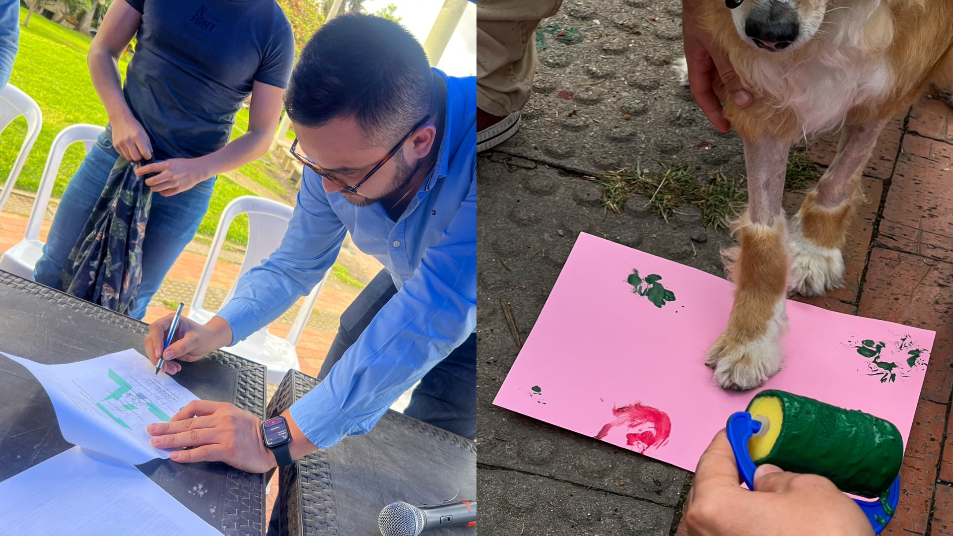 Alcaldía de Teusaquillo prohibió uso de pólvora para proteger a animales