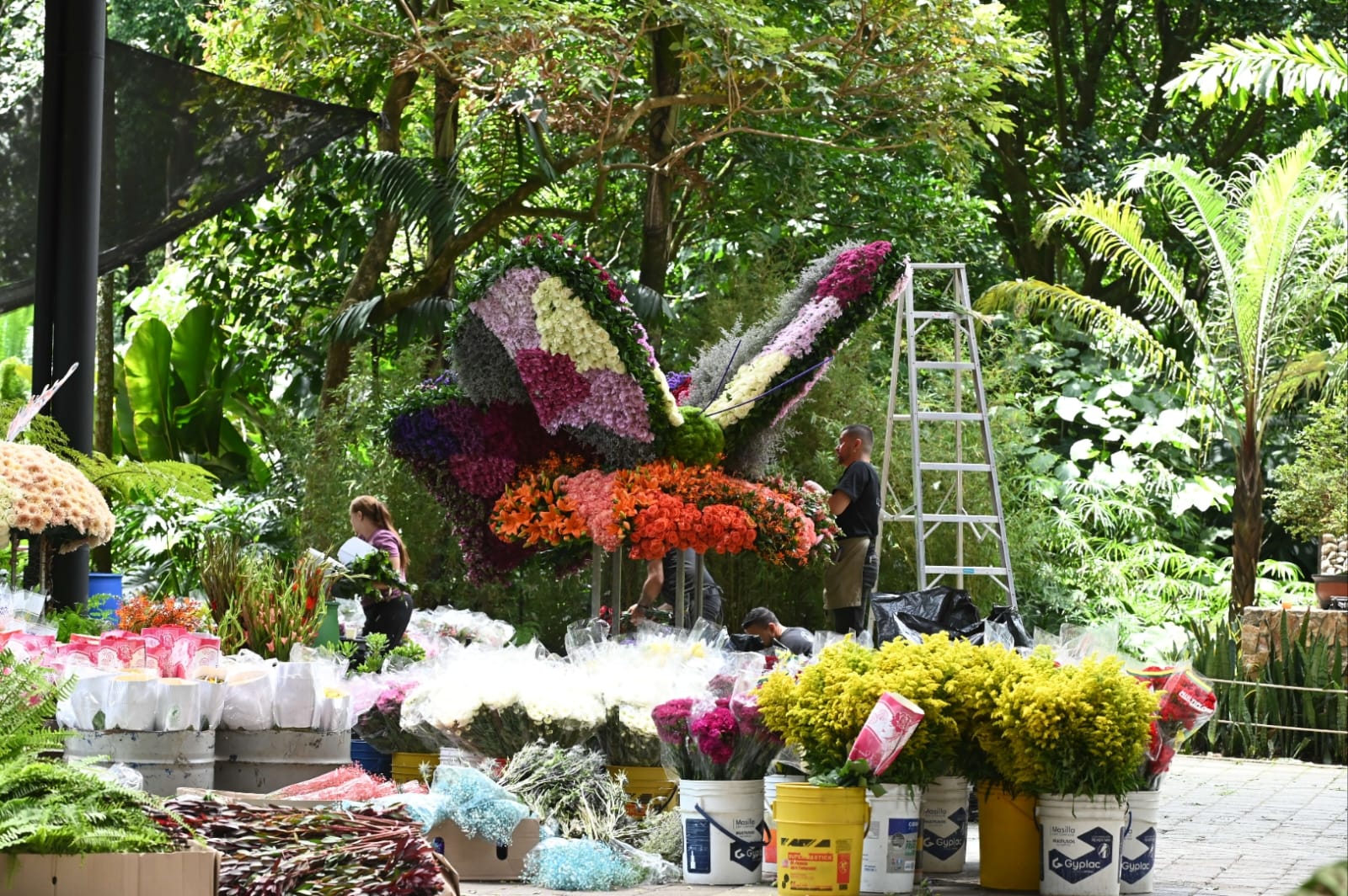 Entre el 5 y el 10 de agosto, el Jardín Botánico de Medellín se llena nuevamente de vida, color y tradición con FLORECER: orquídeas, naturaleza y tradiciones