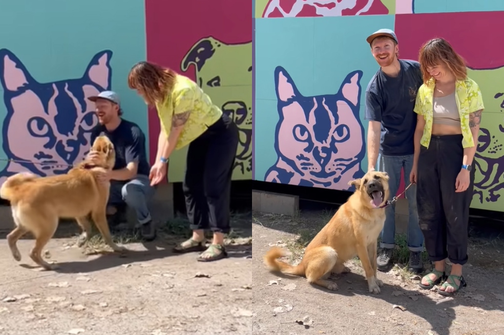 La historia de un hombre que esperó dos horas para adoptar al perro ideal (video)