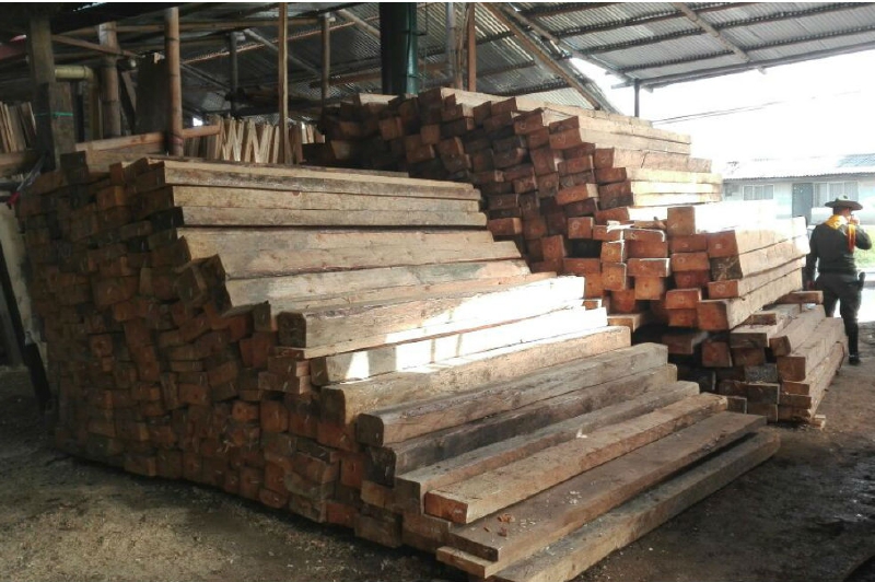 Se incautan 30 toneladas de madera extraída ilegalmente en el Amazonas