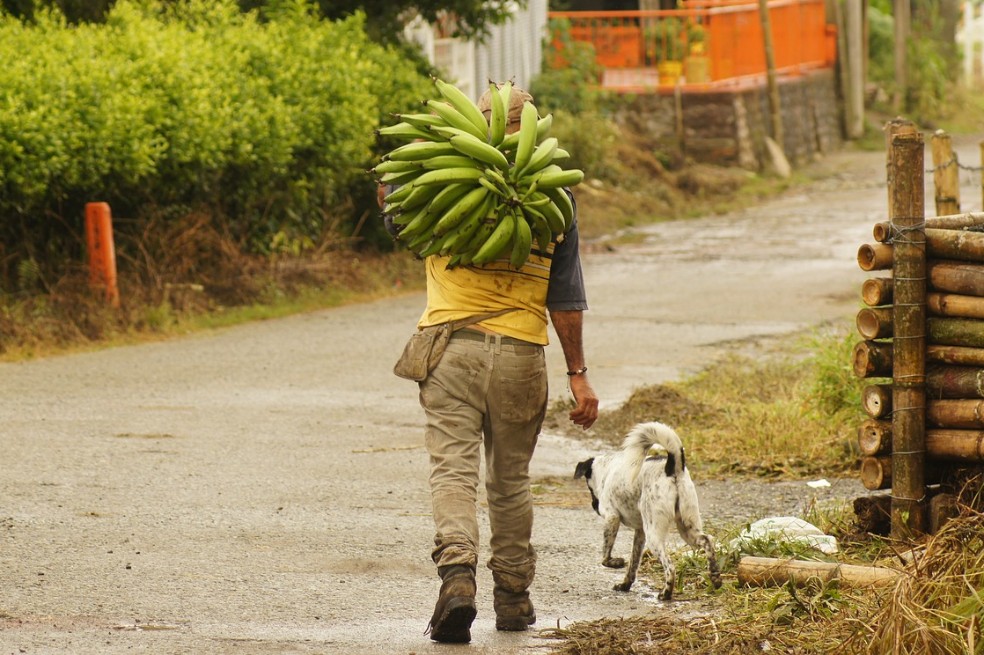 Campesinos dicen que la Cumbre de alimentos de la ONU es ilegítima