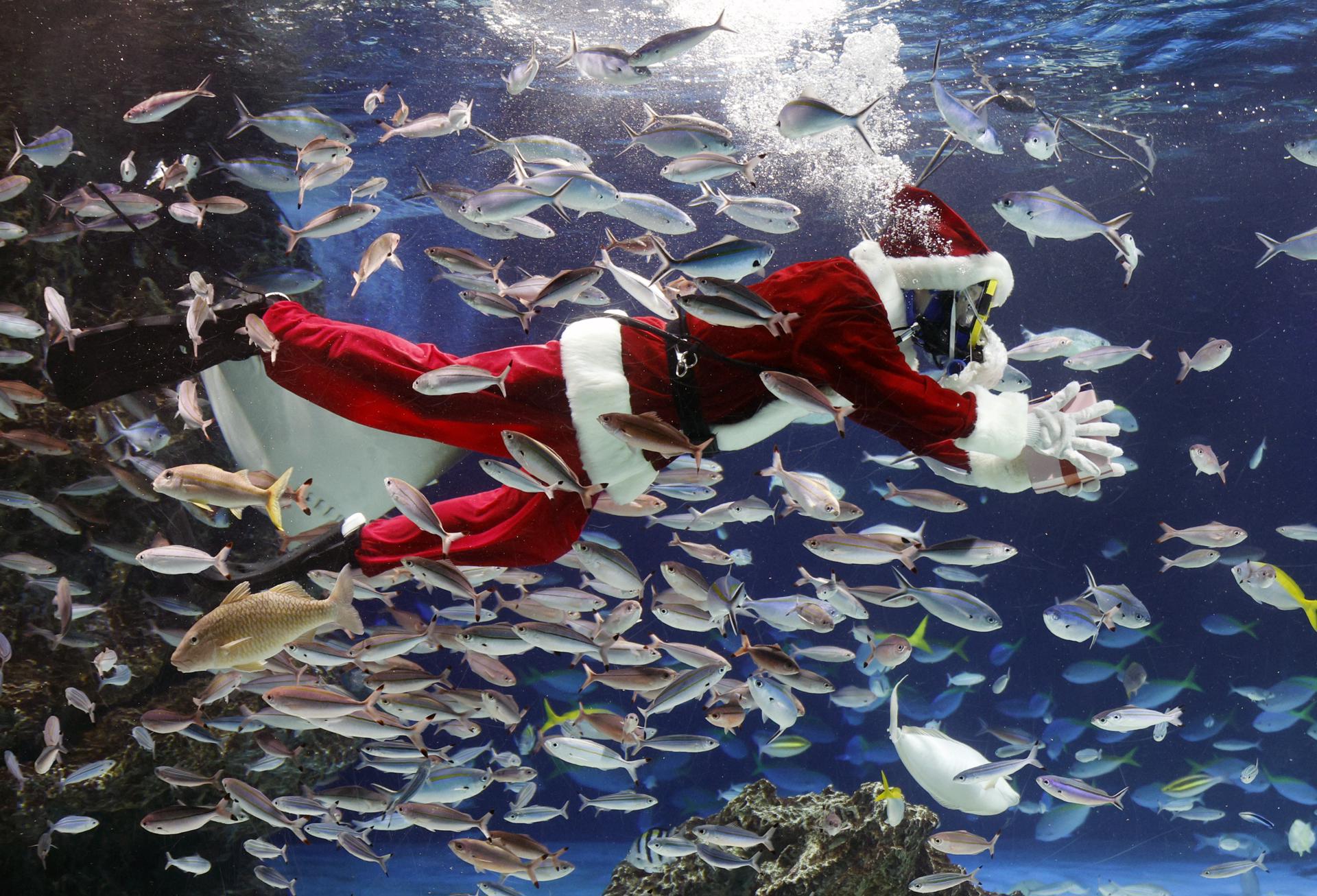 En fotos: así se vive la Navidad alrededor del mundo