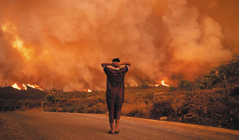 ONU aprueba mecanismo de protección de derechos humanos en los nuevos mercados de carbono