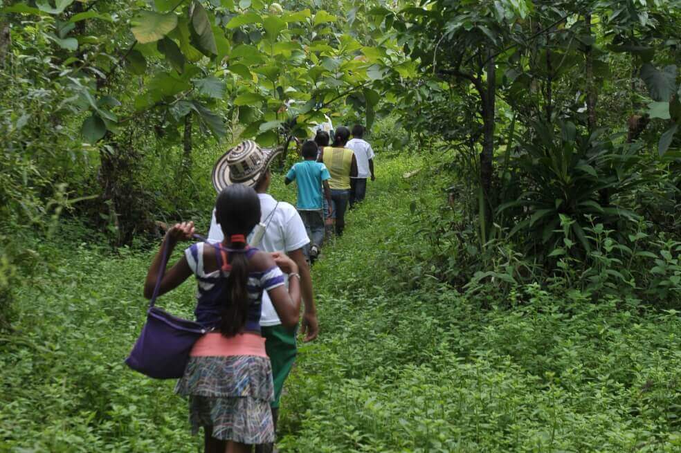 Más de 20 veredas en el Catatumbo serán nuestro foco de acción: Unidad de Restitución de Tierras