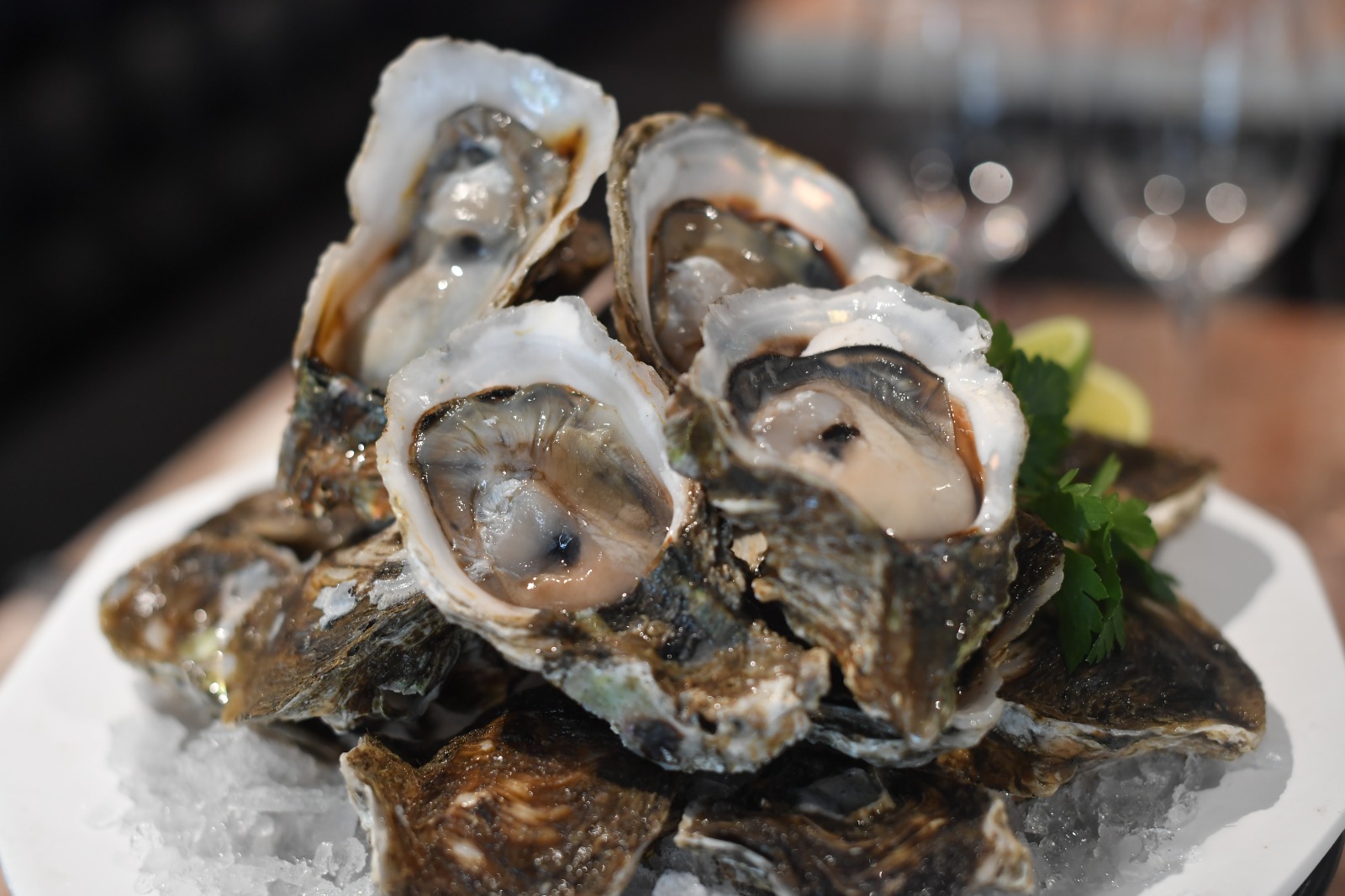 Ostras Pacific Oyster