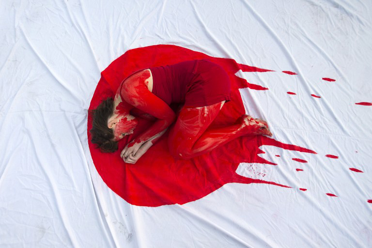 Así fue la protesta contra la matanza de delfines que se realiza en Japón