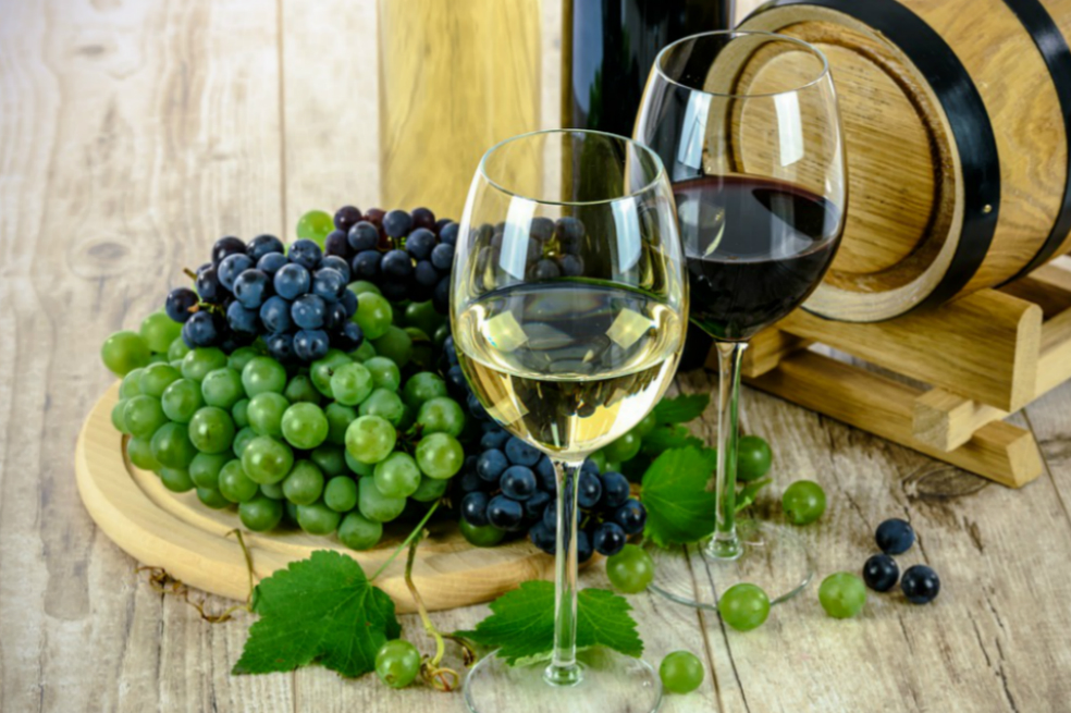 Chile abre el concurso de vinos más importante de Latinoamérica